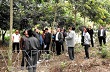 Việt Nam - Lào tăng cường trao đổi kinh nghiệm trồng cao su 